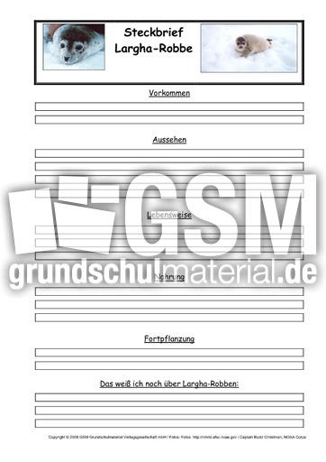 Largha-Robbe-Steckbriefvorlage.pdf